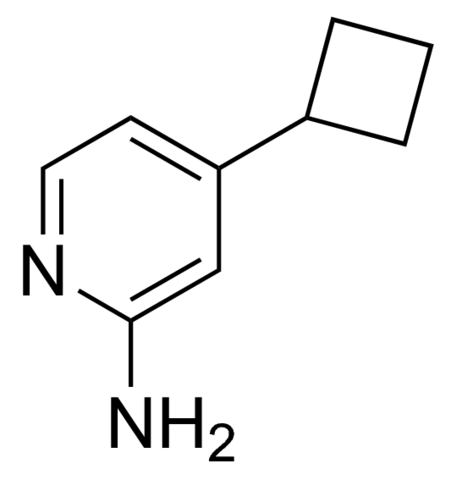 2-Amino-4-cyclobutylpyridine CDS019075-100MG