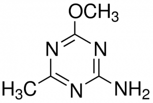 2-Amino-4-methoxy-6-methyl-1,3,5-triazine 522996-10G