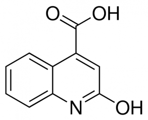 2-Hydroxyquinoline-4-carboxylic acid 674869-10G
