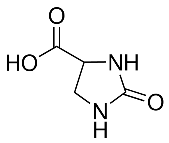 2-Imidazolidone-4-carboxylic acid 