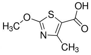 2-methoxy-4-methyl-thiazole-5-carboxylic acid CDS009327-100MG