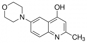 2-methyl-6-morpholin-4-yl-quinolin-4-ol CDS017550-25MG