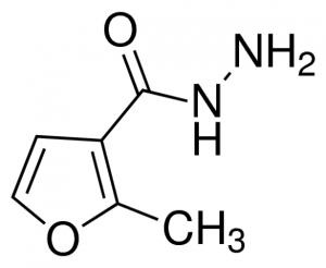 2-methyl-furan-3-carboxylic acid hydrazide CDS005915-100MG