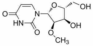 2-o-Methyluridine CDS020259-25MG