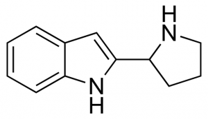 2-Pyrrolidin-2-yl-1H-indole CDS019964-100MG