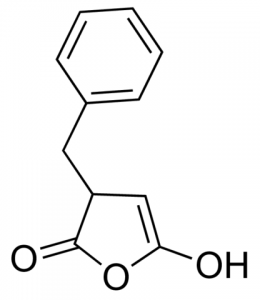 3-Benzyl-5-hydroxy-dihydrofuran-2(3H)-one CDS019491-100MG