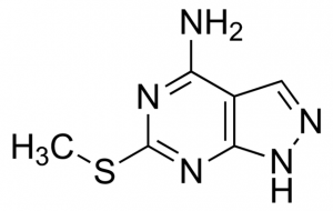 4-Amino-2-(methylmercapto)-7H-pyrazole[2,3-d]pyrimidine JRD0261-1G