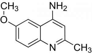 4-Amino-6-methoxy-2-methylquinoline BBO000079-1G