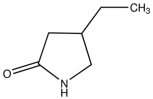 4-Ethyl-2-pyrrolidinone CBR00057-1G