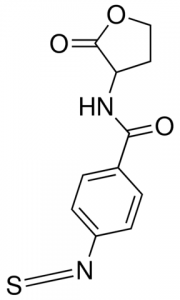 4-Isothiocyanatobenzoyl-DL-homoserine lactone CDS006294-50MG