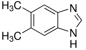 5,6-Dimethylbenzimidazole 