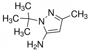 5-amino-1-t-butyl-3-methylpyrazole CDS011464-100MG