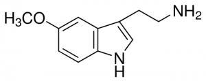 5-Methoxytryptamine 