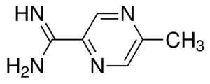 5-methylpyrazine-2-carboxamidine CDS008457-100MG