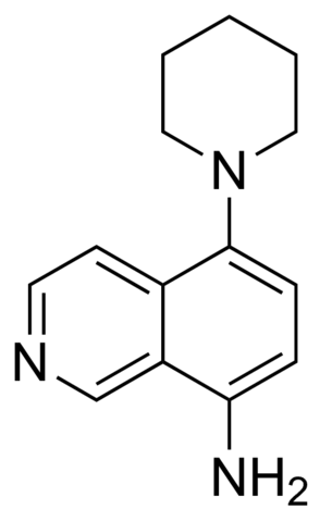 5-Piperidin-1-ylisoquinolin-8-amine CDS020241-25MG