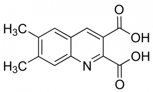 6,7-Dimethylquinoline-2,3-dicarboxylic acid BBO000193-1G