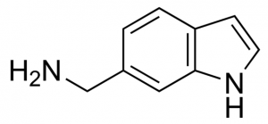 6-(Aminomethyl)indole 754366-500MG