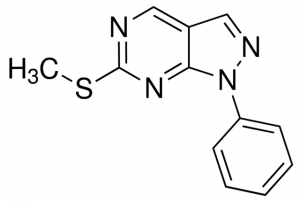 6-(Methylthio)-1-phenyl-1H-pyrazolo[3,4-d]pyrimidine ANV00043-1G