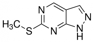 6-(Methylthio)-1H-pyrazolo[3,4-d]pyrimidine ANV00067-1G