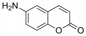6-Amino-chromen-2-one CDS019990-100MG