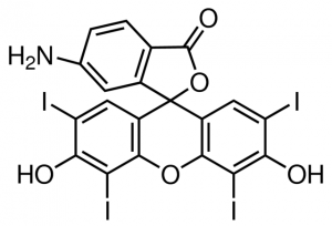 6-Aminoerythrosin 633364-500MG