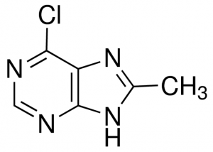 6-Chloro-8-methyl-9H-purine CDS009066-100MG