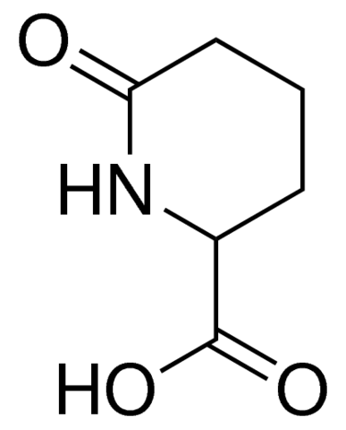 6-oxo-pipecolinic acid CDS003761-250MG