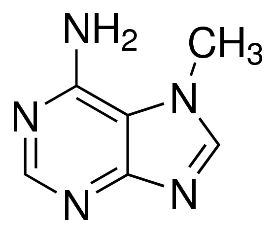 7-Methyladenine 