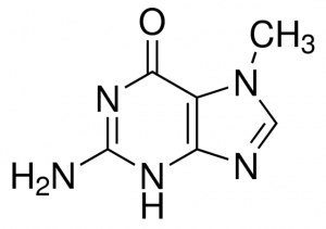 7-Methylguanine 