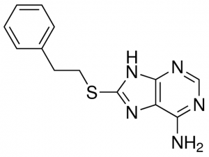 8-((2-phenylethyl)thio)-9H-purin-6-amine CDS011327-100MG