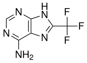 8-(trifluoromethyl)-9H-purin-6-amine CDS017386-25MG