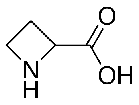 azetidine-2-carboxylic acid CDS008419-100MG