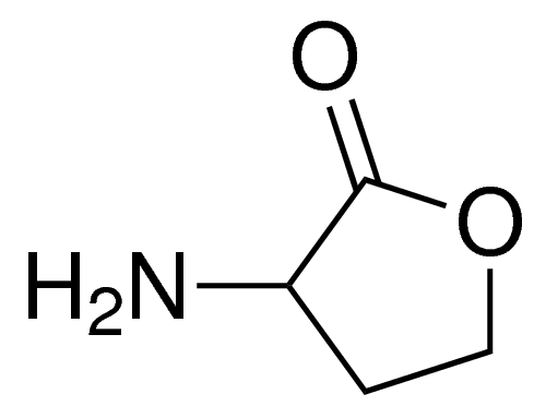 Dihydro-3-amino-2-(3H)-furanone CDS012715-25MG