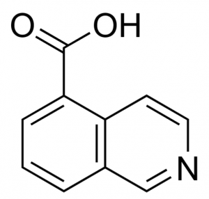 Isoquinoline-5-carboxylic acid 