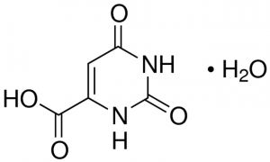 Orotic acid monohydrate 
