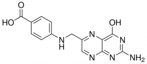 Pteroic acid 