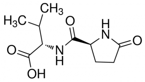 Pyr-Val-OH CDS014562-100MG
