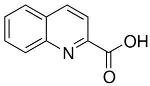 Quinaldic acid 