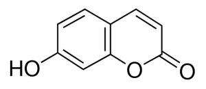 Umbelliferone 