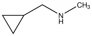 (Cyclopropylmethyl)methylamine CBR00064-1G