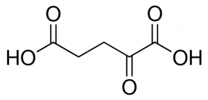 -Ketoglutaric acid 