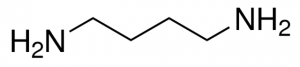 1,4-Diaminobutane 