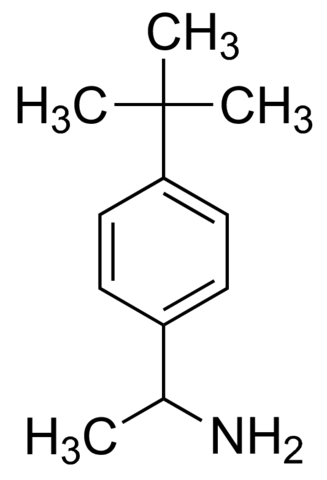 1-(4-tert-Butylphenyl)ethanamine CDS020210-50MG