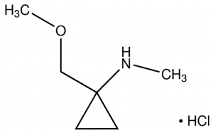 1-(Methoxymethyl)-N-methylcyclopropanamine hydrochloride CBR00893-1G