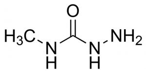 1-Amino-3-methylurea CDS019843-25MG