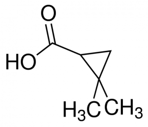 2,2-dimethyl cyclopropyl carboxylic acid CDS011183-100MG