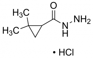 2,2-Dimethylcyclopropanecarbohydrazide hydrochloride CBR01561-1G