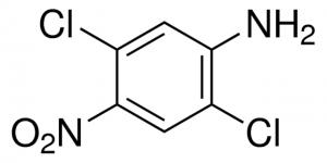 2,5-Dichloro-4-nitroaniline 524204-10G