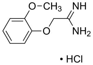 2-(2-Methoxyphenoxy)ethanimidamide hydrochloride CBR01209-1G