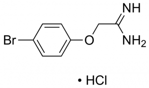 2-(4-Bromophenoxy)ethanimidamide hydrochloride CBR01126-1G